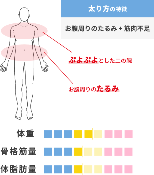 太り方の特徴についての図